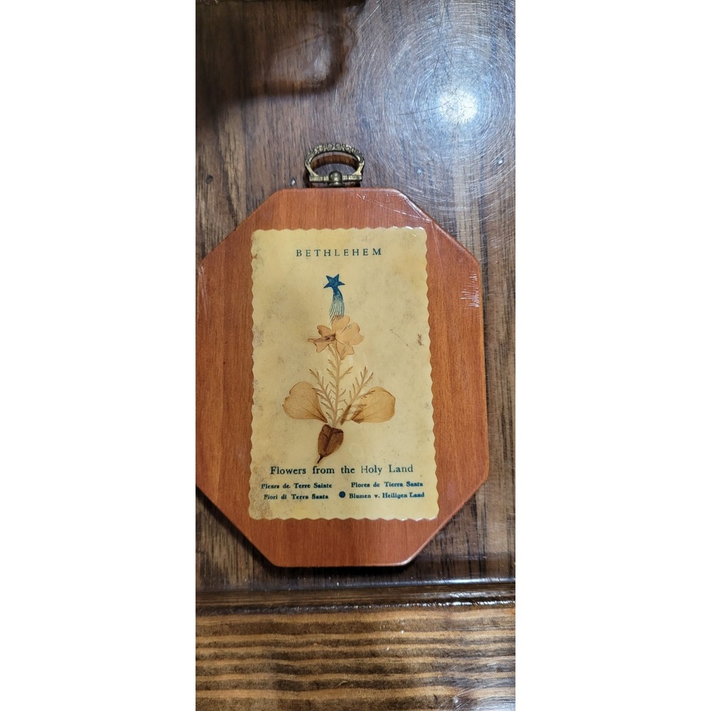 Pressed Flowers From The Holy Land